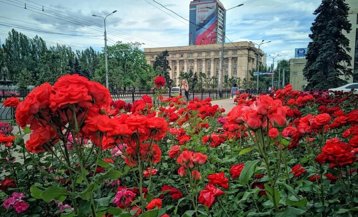 Донецк город роз